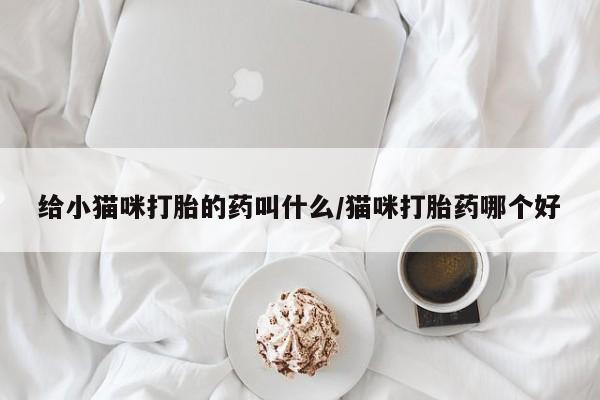 打胎药专卖微信全国包邮给小猫咪打胎的药叫什么/猫咪打胎药哪个好