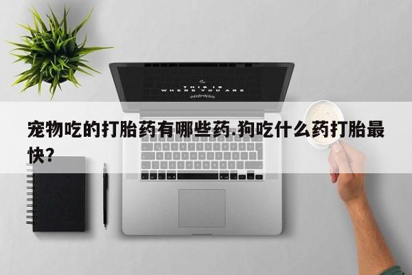 打胎药专卖微信全国包邮宠物吃的打胎药有哪些药.狗吃什么药打胎最快？