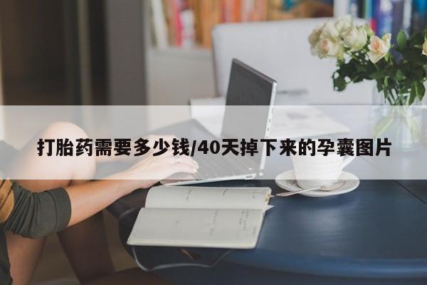 打胎药专卖微信全国包邮打胎药需要多少钱/40天掉下来的孕囊图片